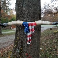 Longhorn steer skull and horns, painted in U.S. flag motif, mounted to a tree trunk.