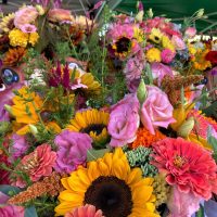 Buckets of mixed floral bouquets grown at Down the Road Farm in New Lexington, Perry County, Ohio.