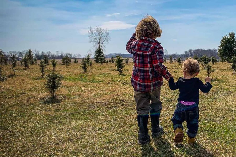Child holding hands with toddler, walking through field of growing evergreen trees on a sunny day at NovelTree Farm in Thornville, Perry County, Ohio.
