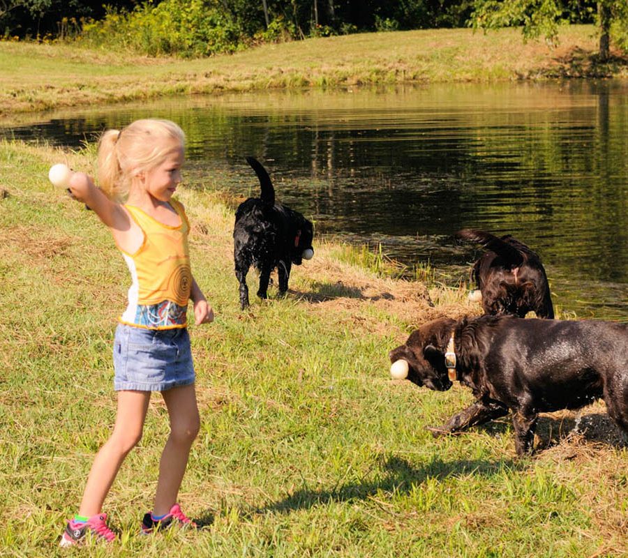 Small child playing with dogs at water's edge at the Perry County Gun Club in New Lexington, Perry County, Ohio