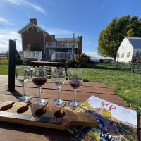 Tasting presentation of four glasses of wine outdoors at Vinberige Vineyards in Thornville, Perry County, Ohio.