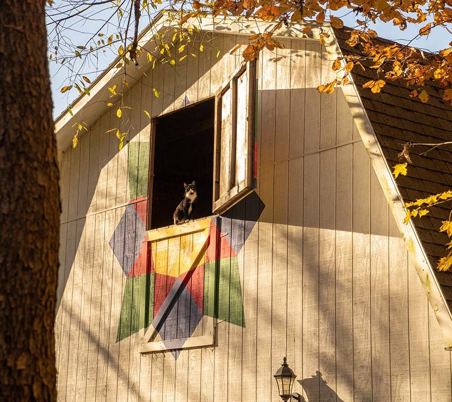 Barn at the Wildwood Inn, Bed & Breakfast & Llama Farm in New Straitsville, Perry County, Ohio