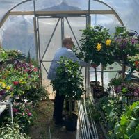 Customer shopping inside hothouse filled with hanging and shelved plants at Seals Flowers & Gifts in New Lexington, Perry County, Ohio