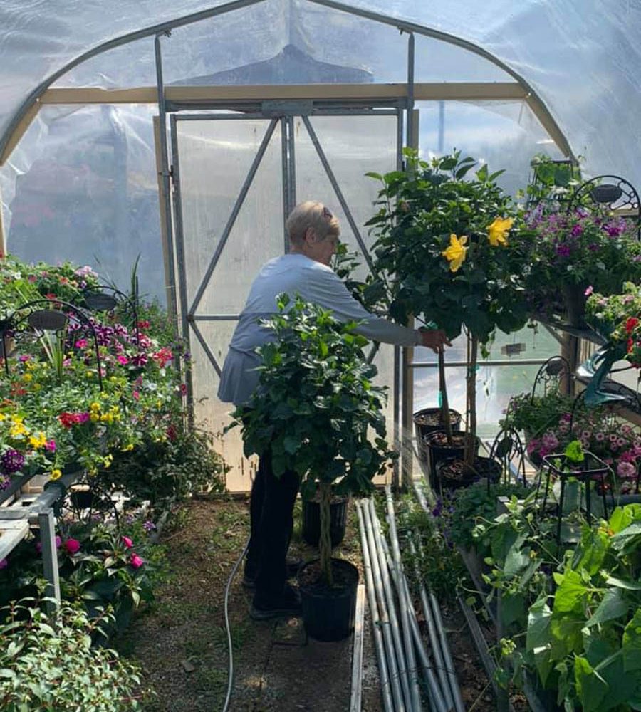 Customer shopping inside hothouse filled with hanging and shelved plants at Seals Flowers & Gifts in New Lexington, Perry County, Ohio