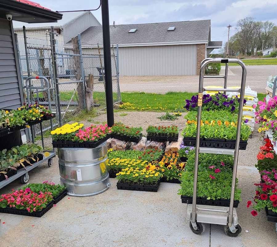 Flowers and plants on display outdoors at Thornville Hardware in Thornville, Perry County, Ohio