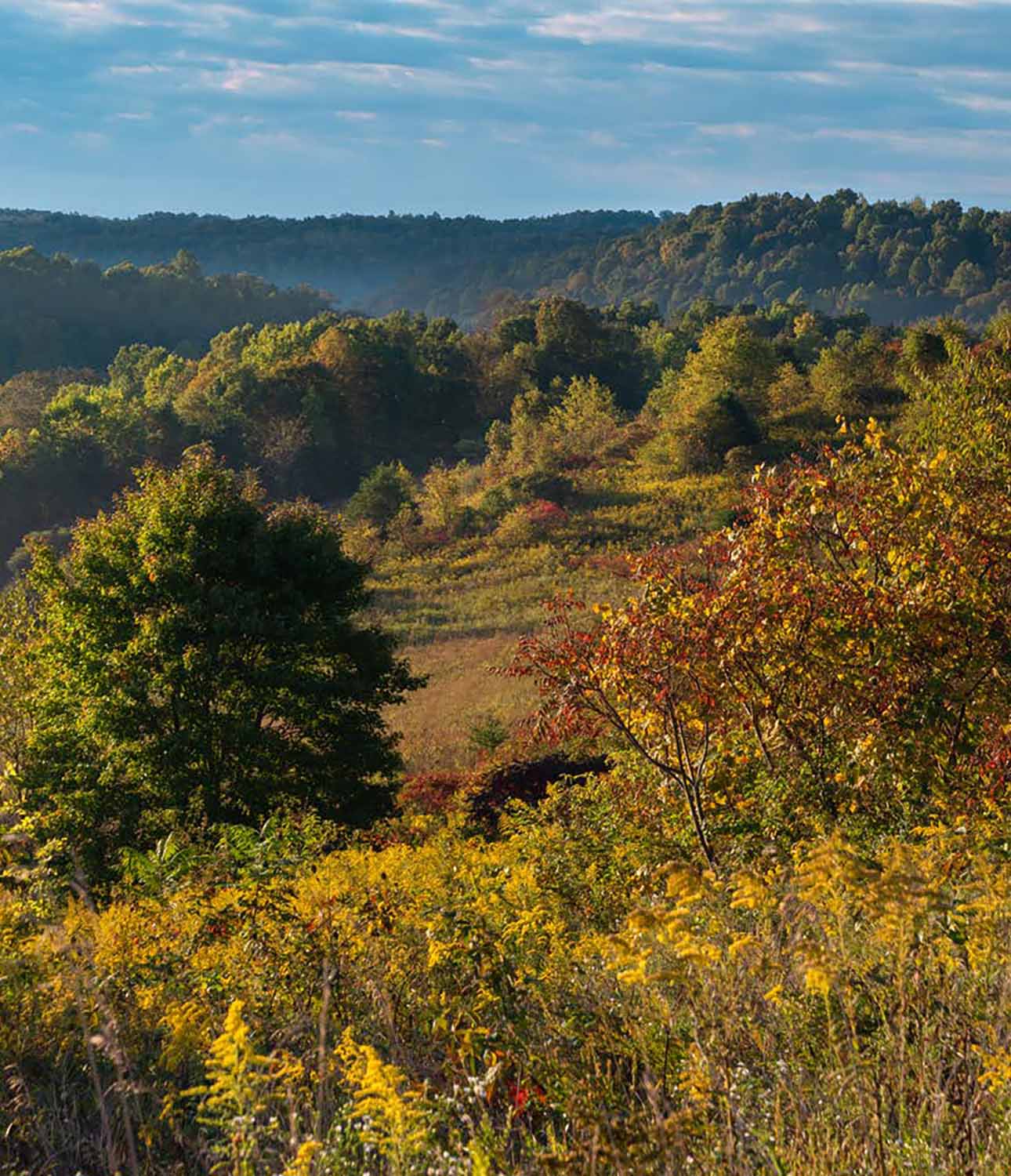 View of the Wayne National Forest