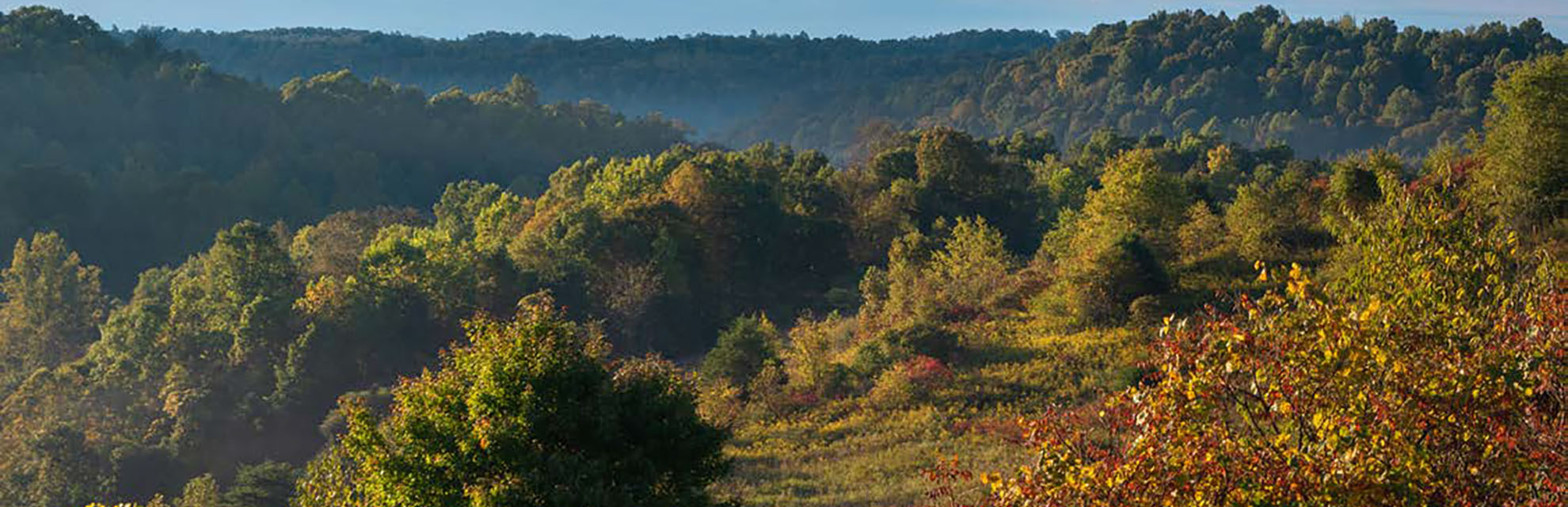 View of the Wayne National Forest