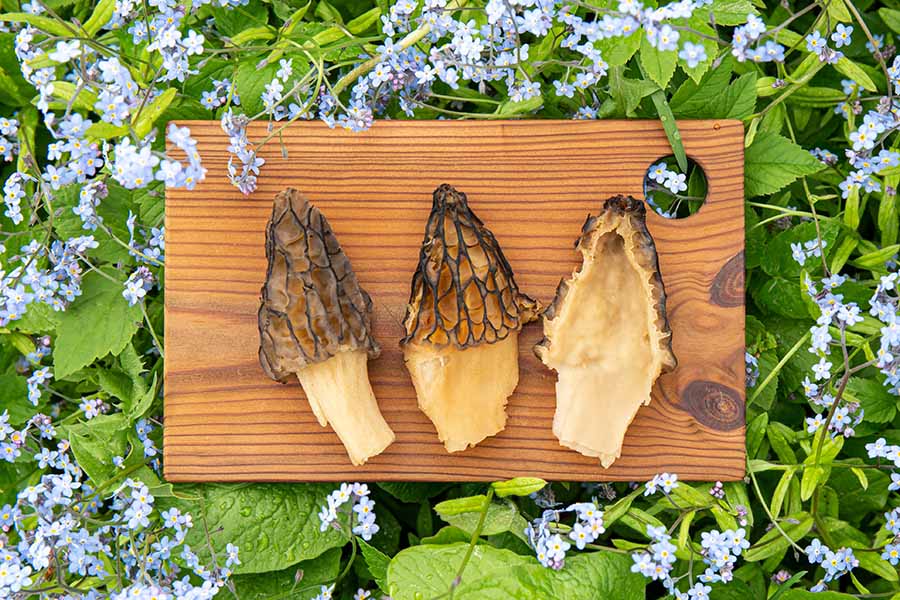 Morel mushrooms on a wooden board, one cut-apart to show hollow interior. 